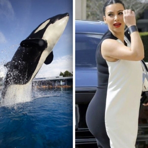 kim-kardashian-whale-dress03-kim-kardashian-fail-collection-kim-kardashian-fail-collection-hkyxfoxu